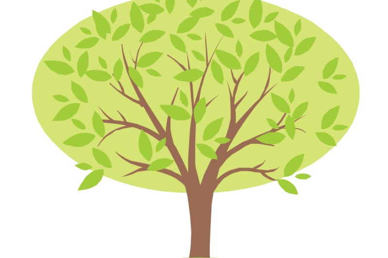 Family Tree